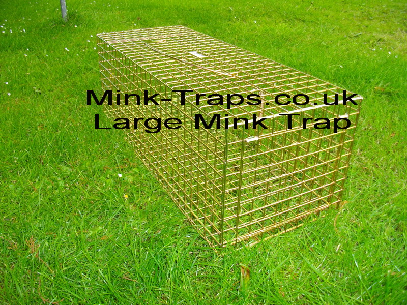 large mink trap a good alround trap for catching simlar sized animals