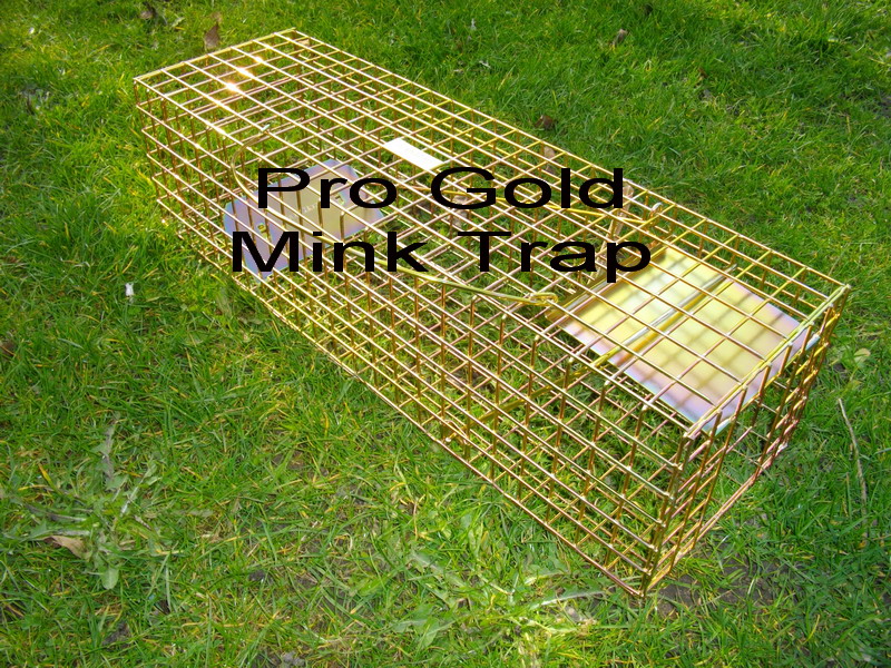 Pro gold mink trap, humane mink cage trap that's the best mink trap you can buy, guaranteed not to fail in normal use.